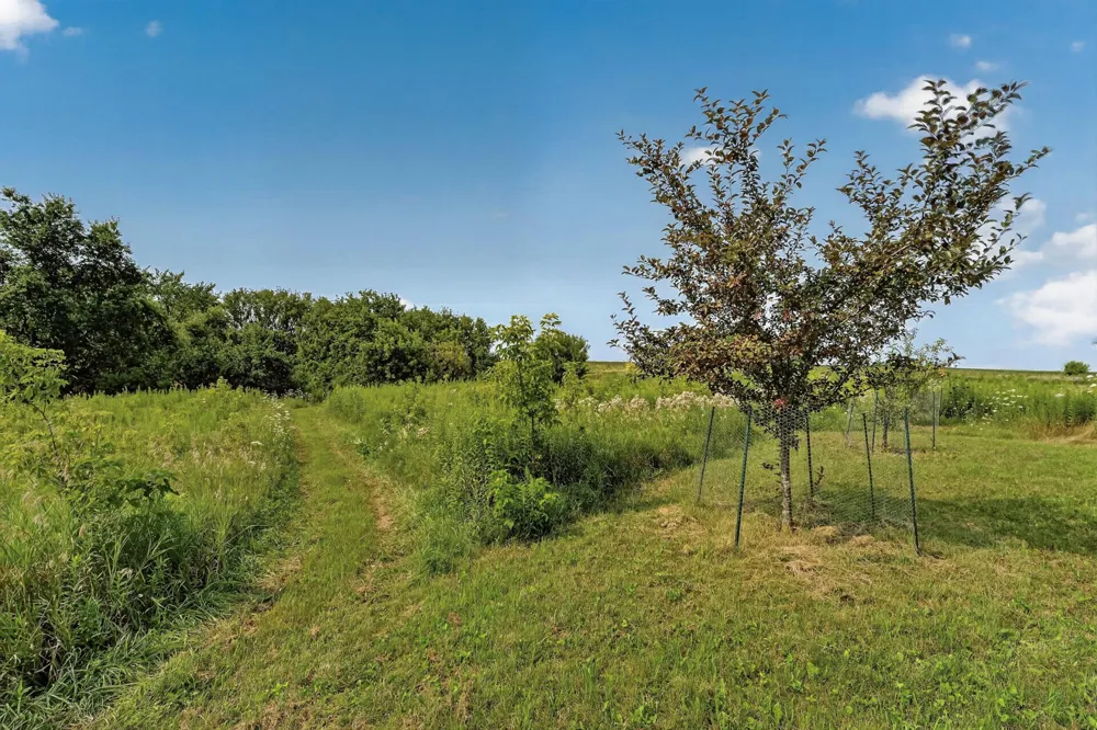 27714 County 25 S Peterson, MN 55962