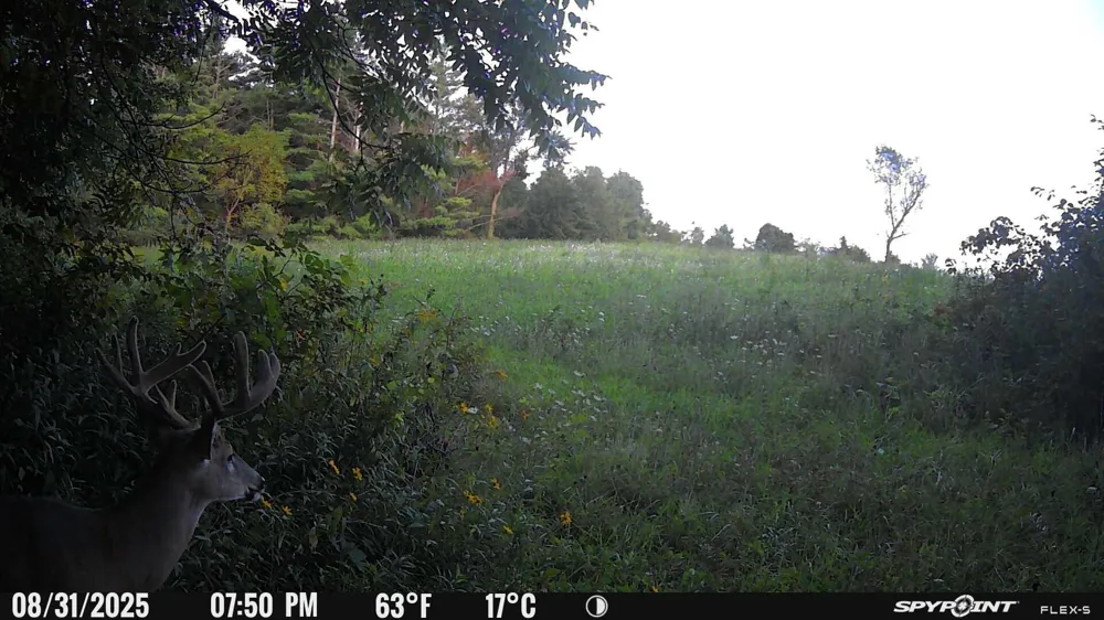 27714 County 25 S Peterson, MN 55962