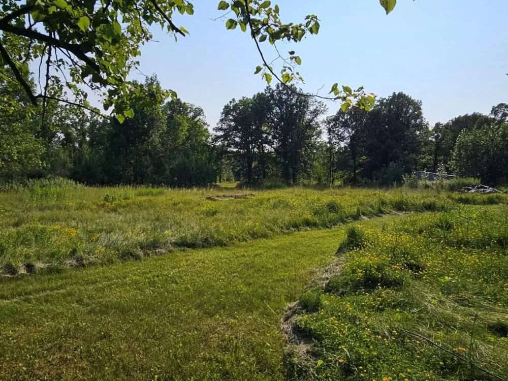 16713 340th Street Bagley, MN 56621