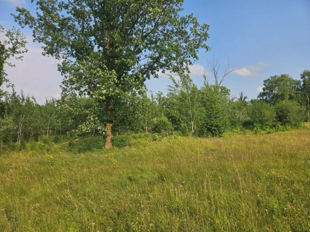 16713 340th Street Bagley, MN 56621