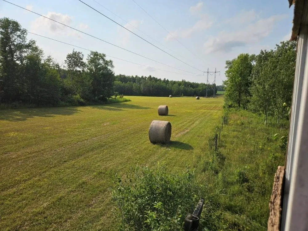 16713 340th Street Bagley, MN 56621