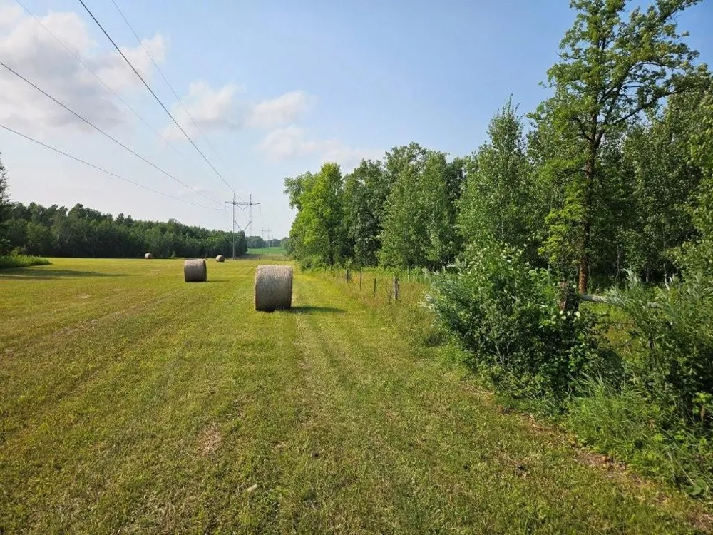 16713 340th Street Bagley, MN 56621