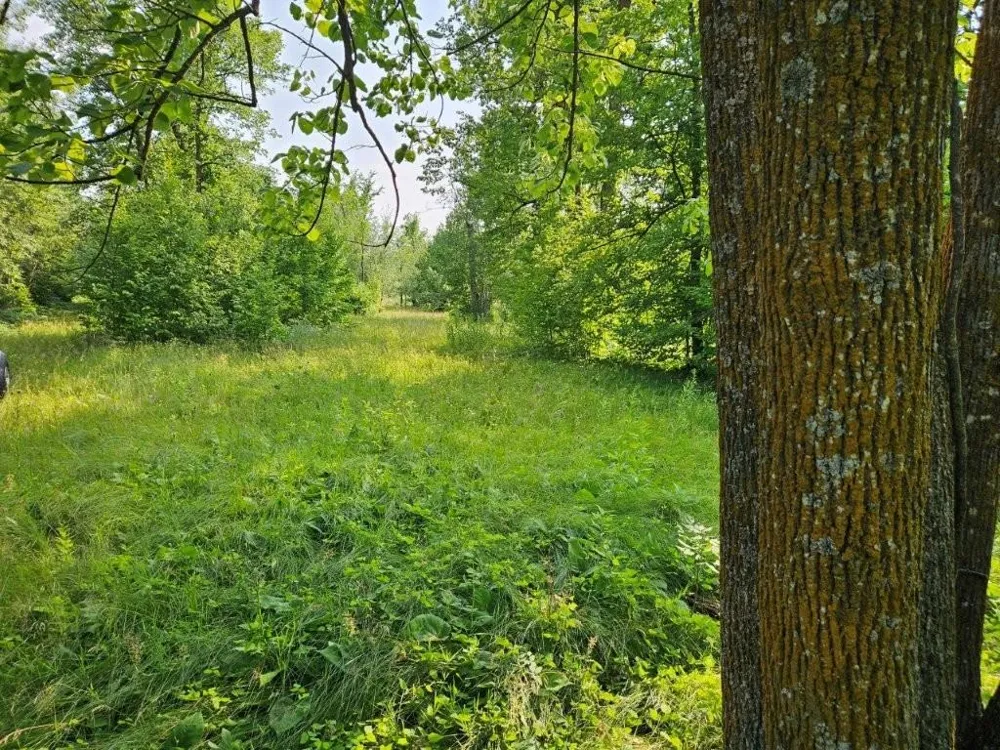16713 340th Street Bagley, MN 56621