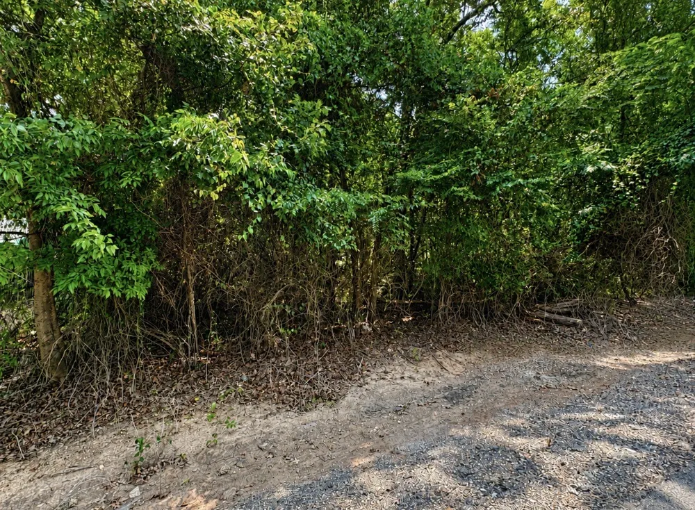 Riviera Shreveport, LA 71107