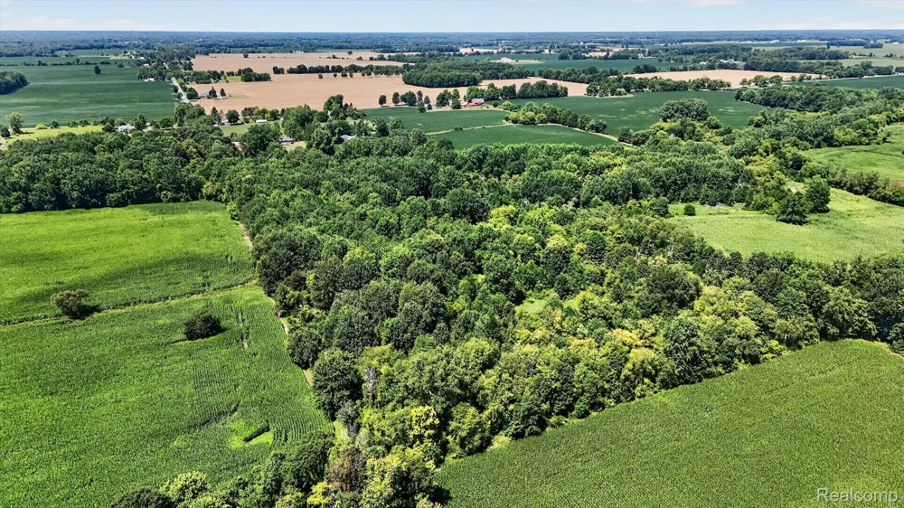 3760 Webberville Road Locke Township, MI 48895