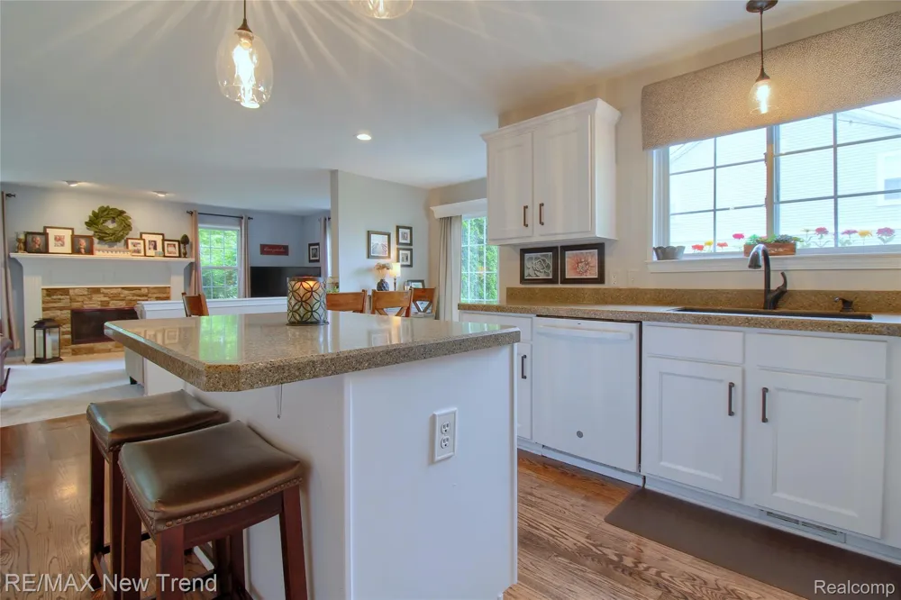 1029 Shetland Drive South Lyon City, MI 48178