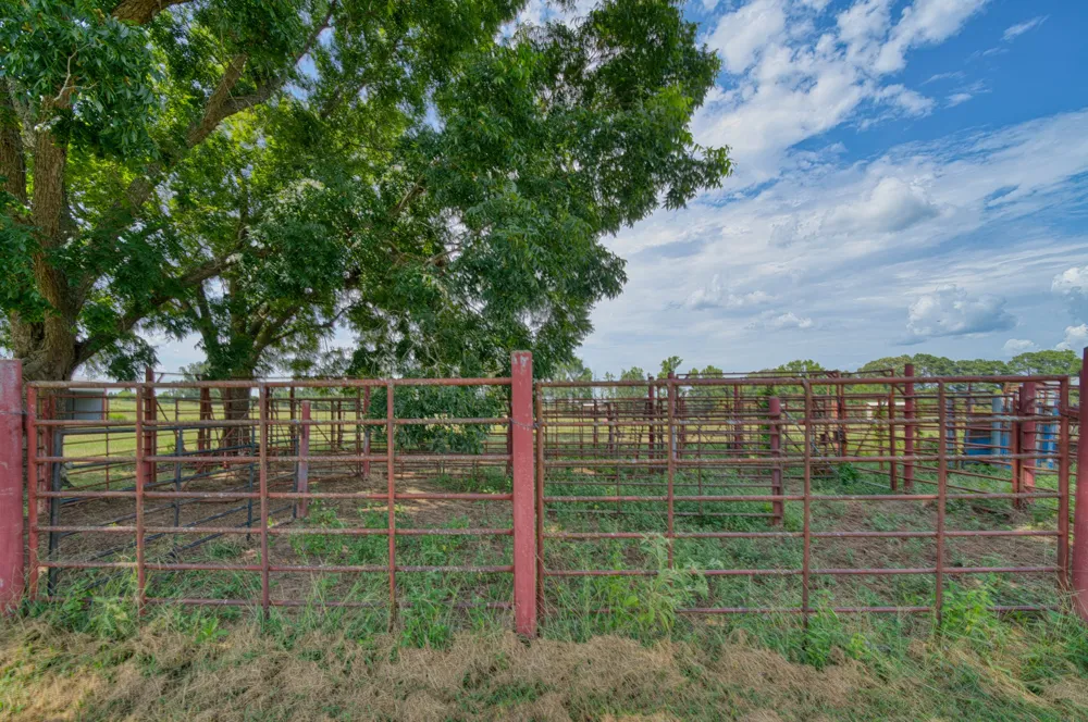 2111 County Road 4335 Bivins, TX 75555