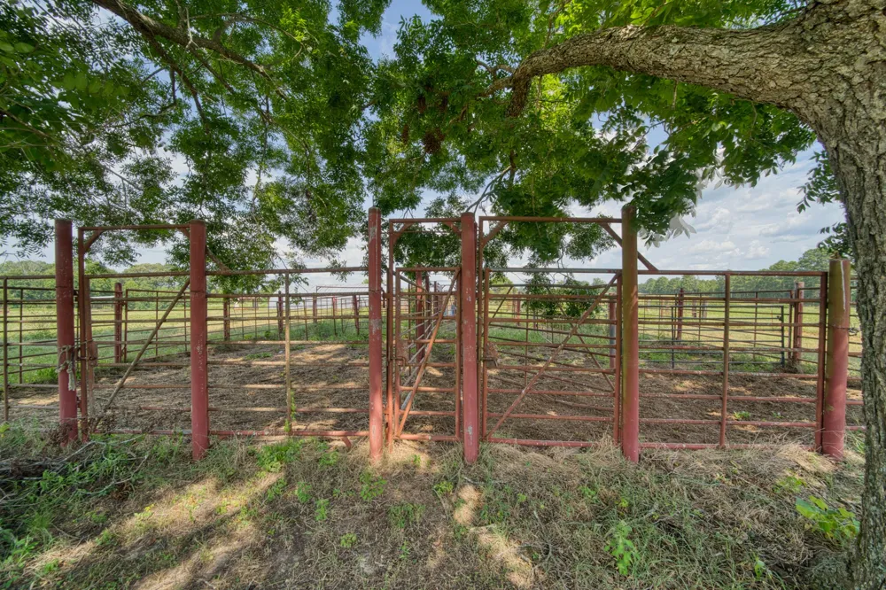 2111 County Road 4335 Bivins, TX 75555