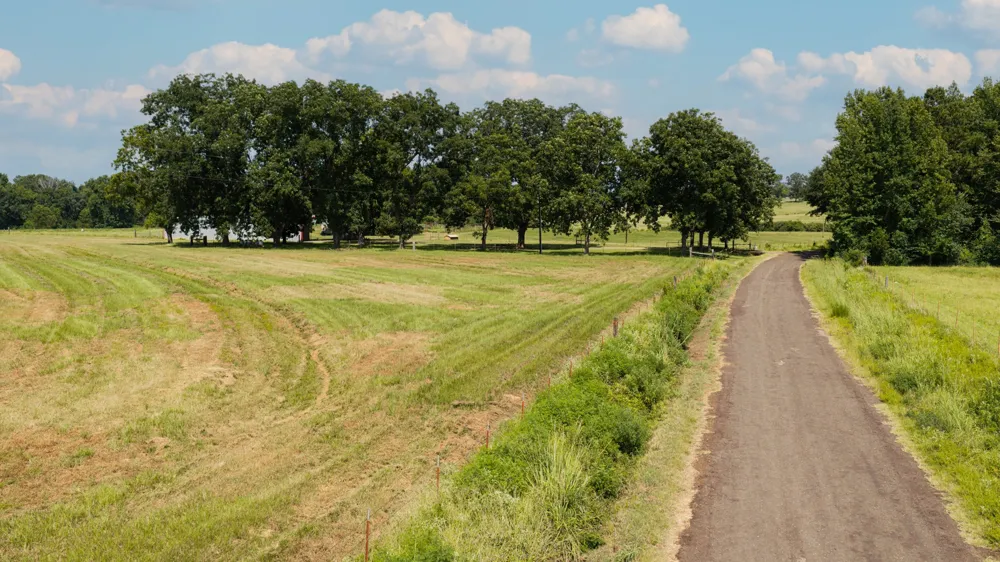 2111 County Road 4335 Bivins, TX 75555