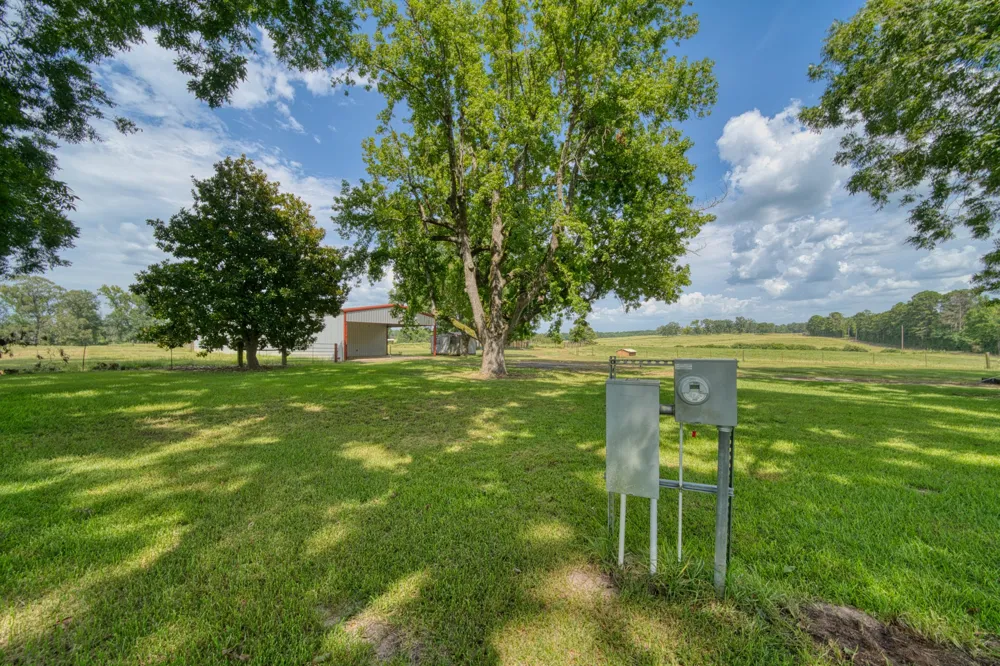 2111 County Road 4335 Bivins, TX 75555