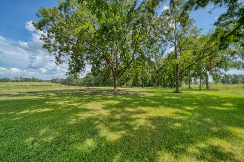2111 County Road 4335 Bivins, TX 75555