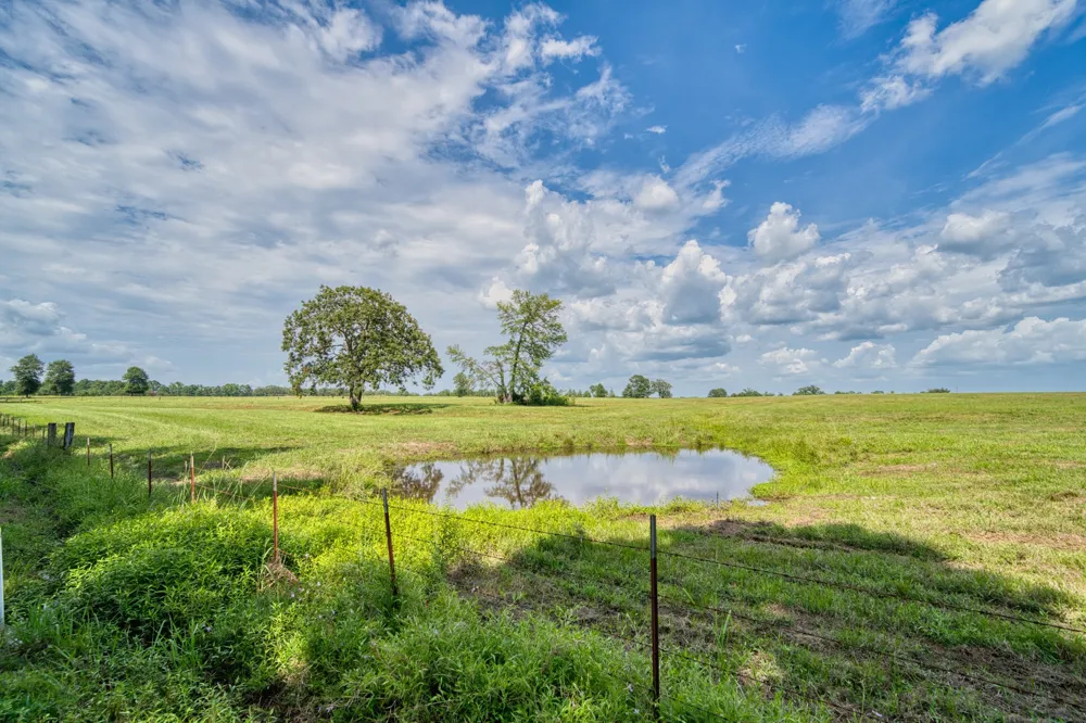 2111 County Road 4335 Bivins, TX 75555