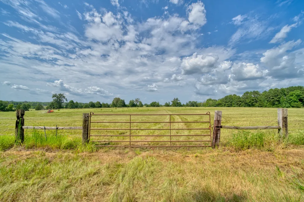 2111 County Road 4335 Bivins, TX 75555
