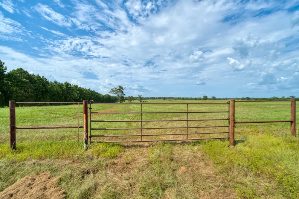 2111 County Road 4335 Bivins, TX 75555