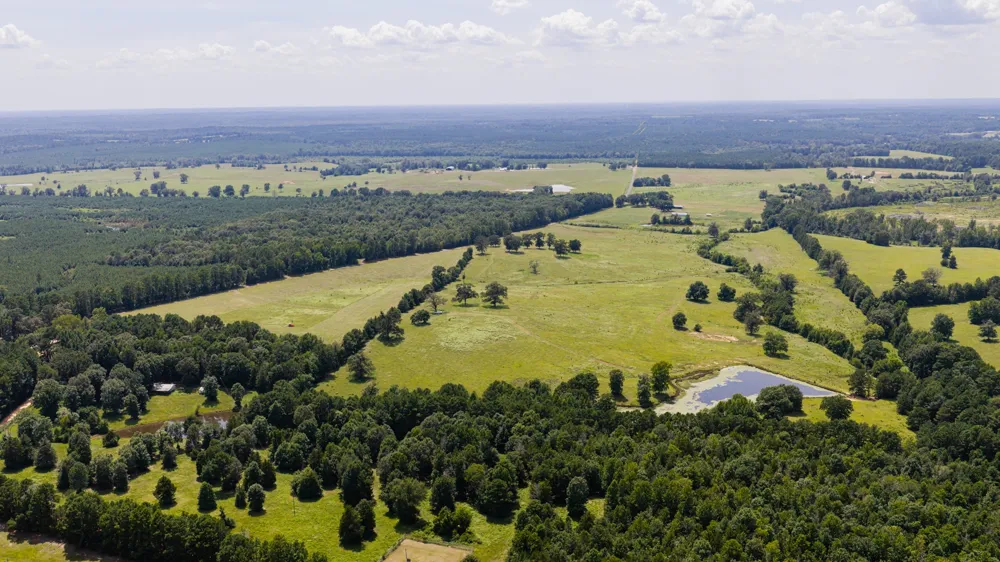 2111 County Road 4335 Bivins, TX 75555