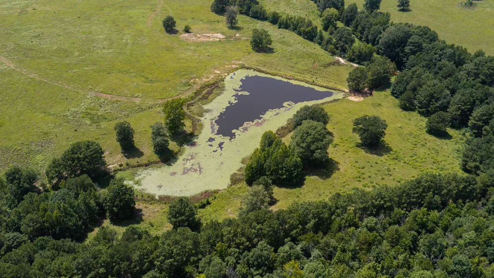 2111 County Road 4335 Bivins, TX 75555