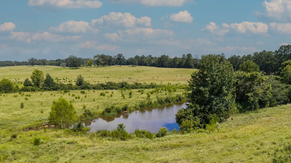 2111 County Road 4335 Bivins, TX 75555