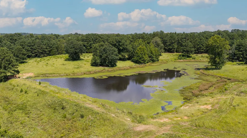 2111 County Road 4335 Bivins, TX 75555