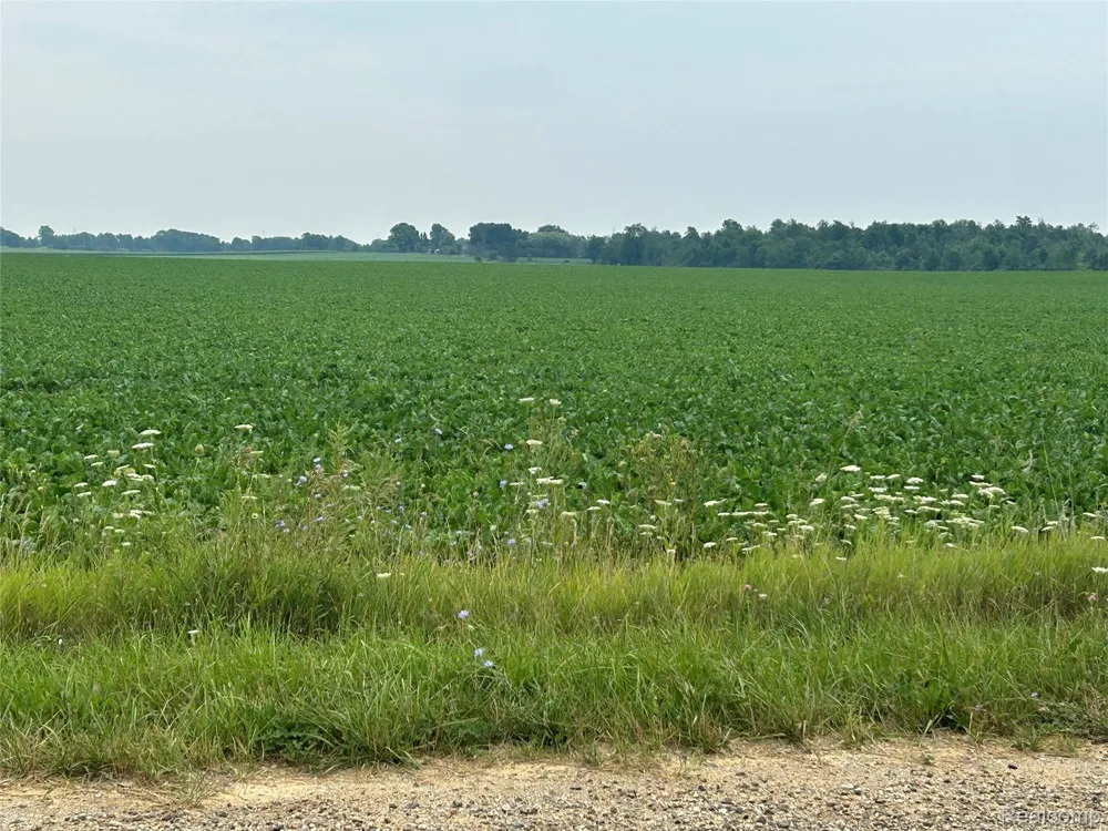 4502 Cemetery Road Koylton Township, MI 48741