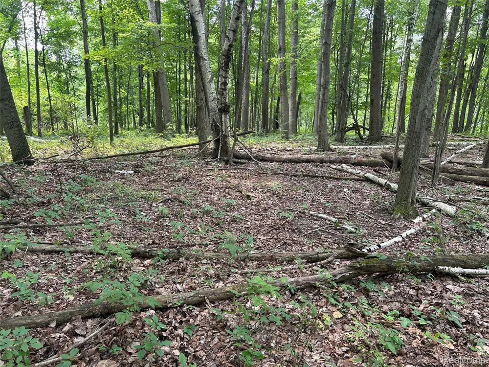 4502 Cemetery Road Koylton Township, MI 48741