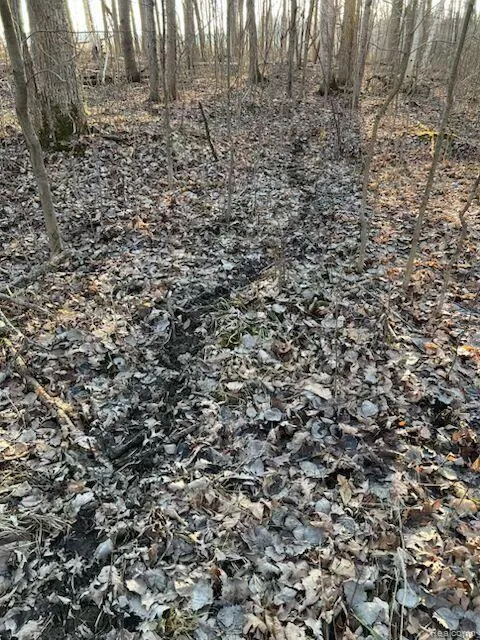 4502 Cemetery Road Koylton Township, MI 48741