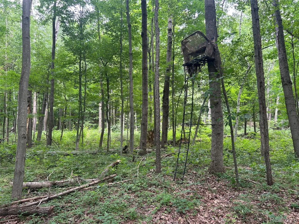 4502 Cemetery Road Koylton Township, MI 48741