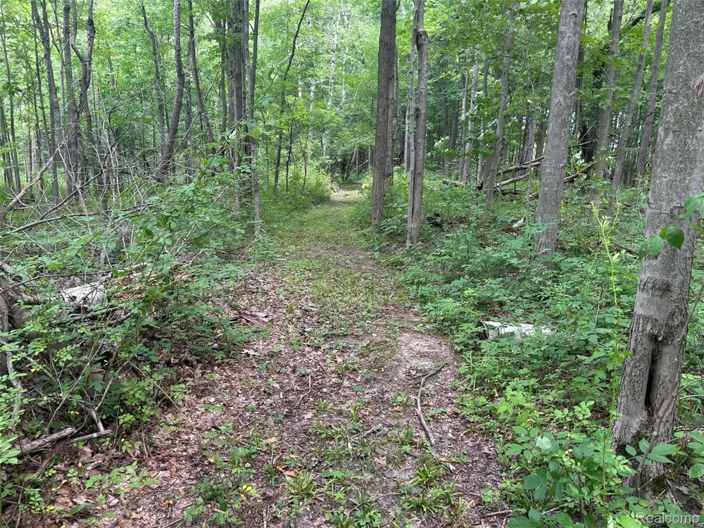 4502 Cemetery Road Koylton Township, MI 48741