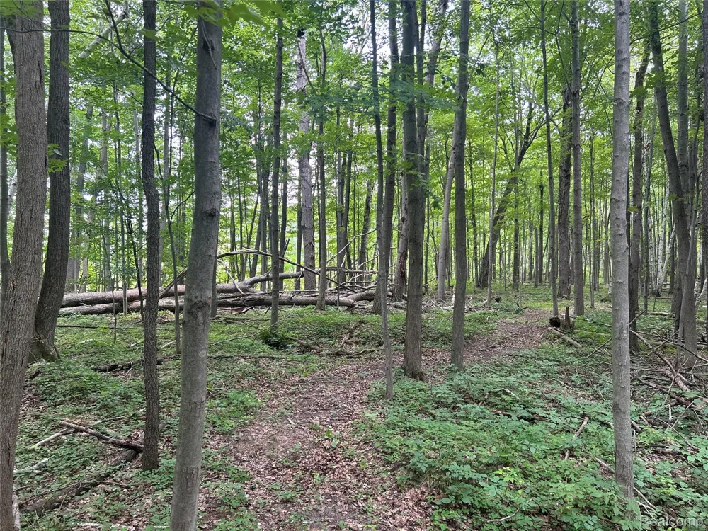4502 Cemetery Road Koylton Township, MI 48741