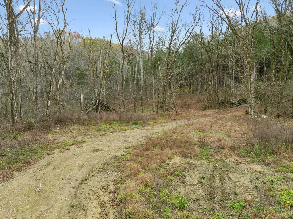 0 Long Branch Rd Lancaster, TN 38569