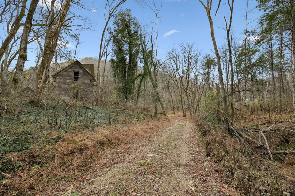 0 Long Branch Rd Lancaster, TN 38569