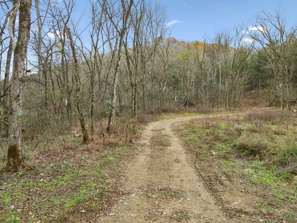 0 Long Branch Rd Lancaster, TN 38569