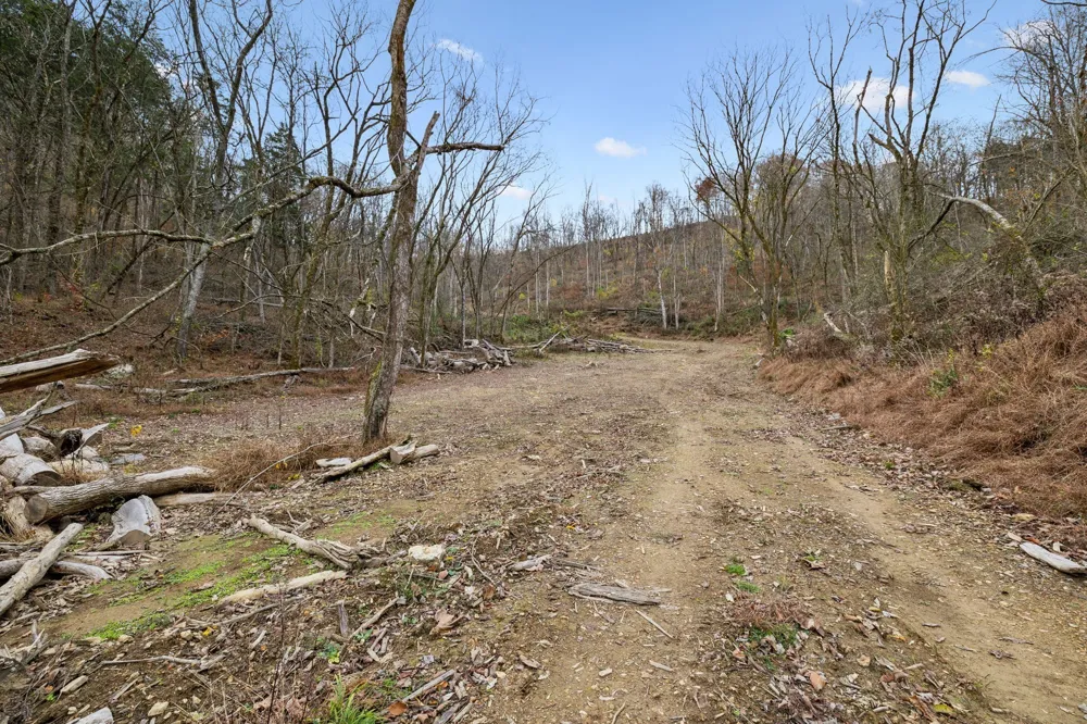 0 Long Branch Rd Lancaster, TN 38569