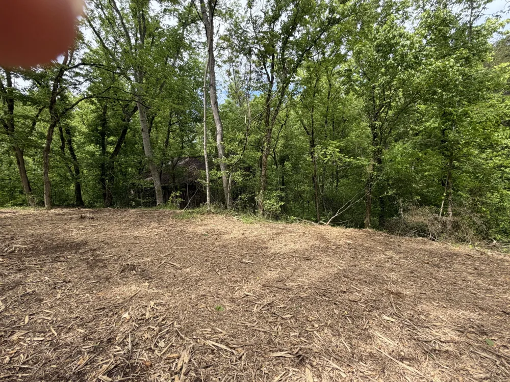 0 Long Branch Rd Lancaster, TN 38569