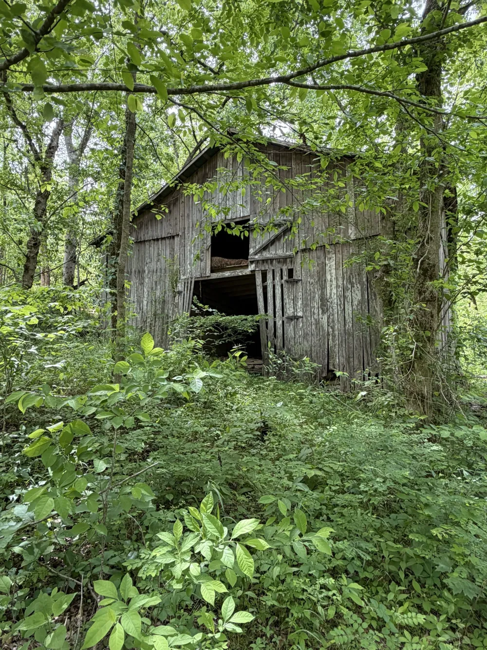 0 Long Branch Rd Lancaster, TN 38569