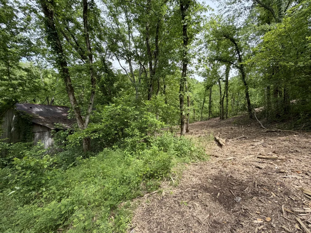 0 Long Branch Rd Lancaster, TN 38569