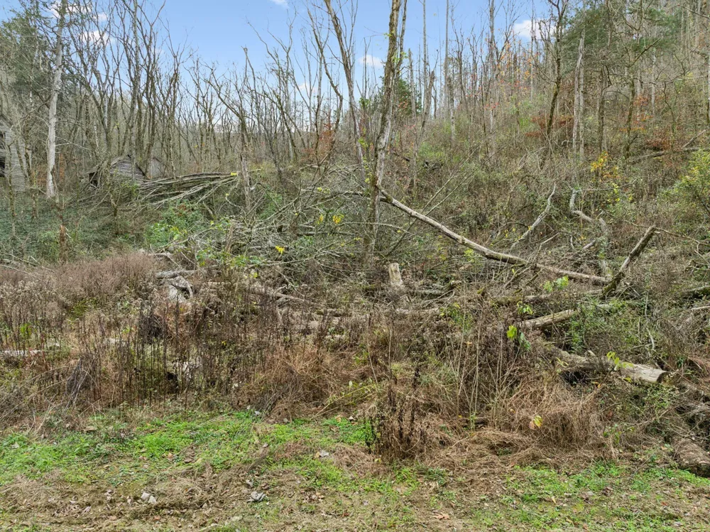 0 Long Branch Rd Lancaster, TN 38569