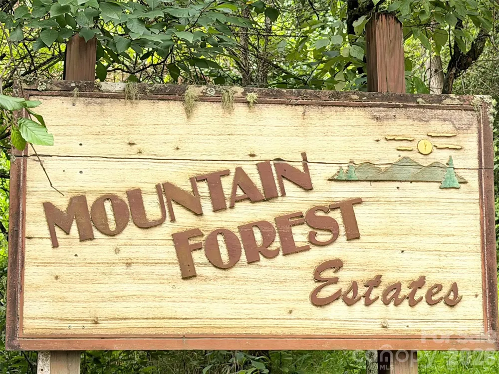 477 Mountain Forest Estate Sylva, NC 28779