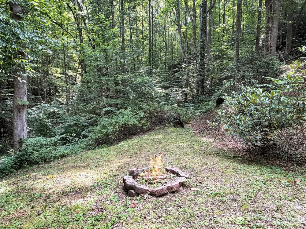 477 Mountain Forest Estate Sylva, NC 28779