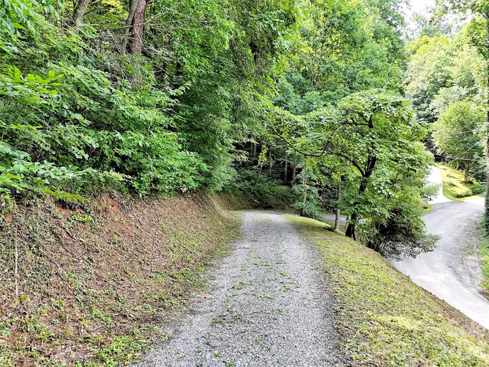 477 Mountain Forest Estate Sylva, NC 28779