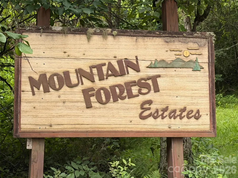 475 Mountain Forest Estate Sylva, NC 28779