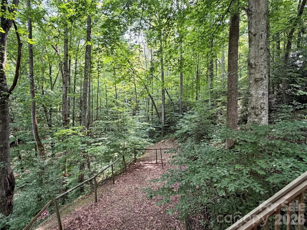 475 Mountain Forest Estate Sylva, NC 28779