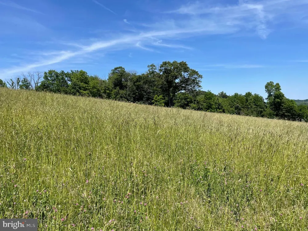 4099 CURLY HILL ROAD Doylestown, PA 18902