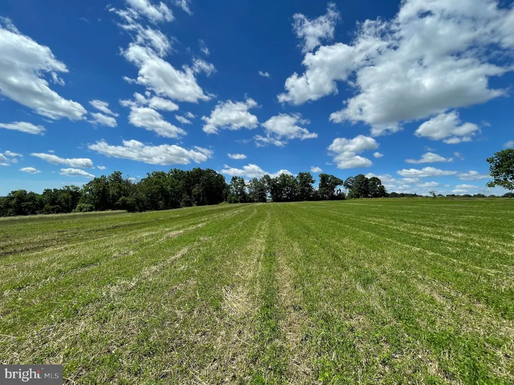 4099 CURLY HILL ROAD Doylestown, PA 18902