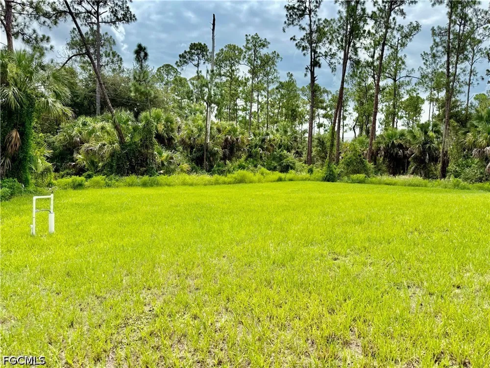 Michael Avenue Lehigh Acres, FL 33936