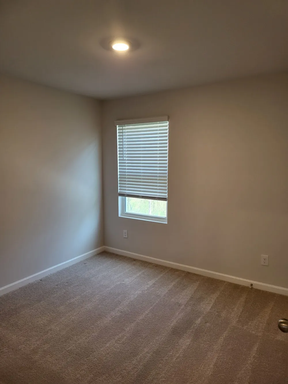155 Olivia Cir Chapel Hill, TN 37034