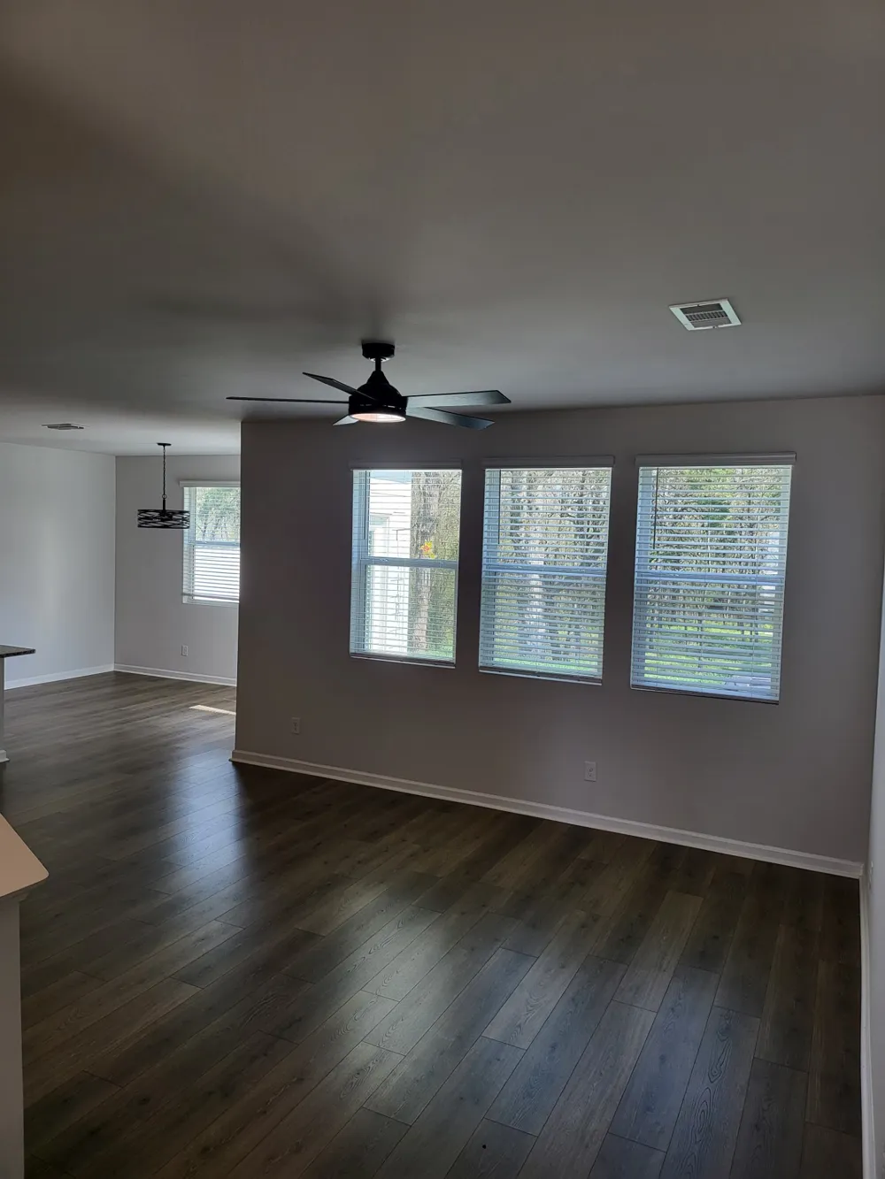 155 Olivia Cir Chapel Hill, TN 37034