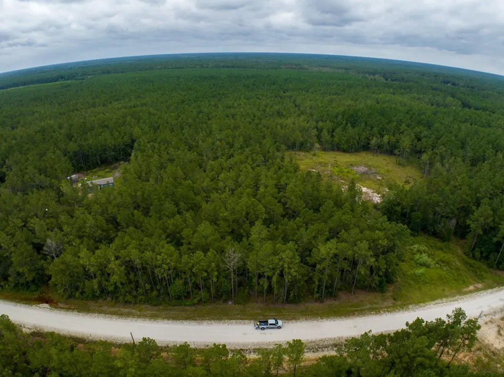 Carter Ranch Road Kountze, TX 77625