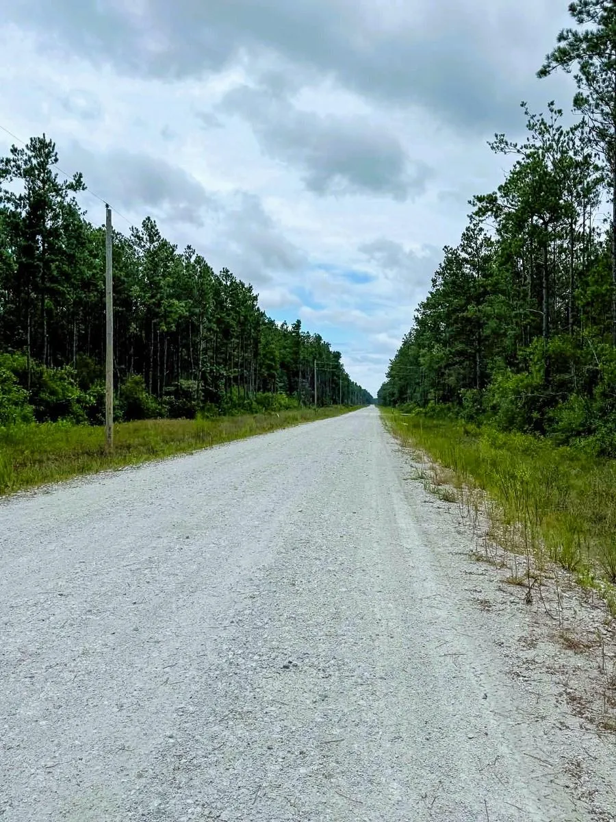 Carter Ranch Road Kountze, TX 77625