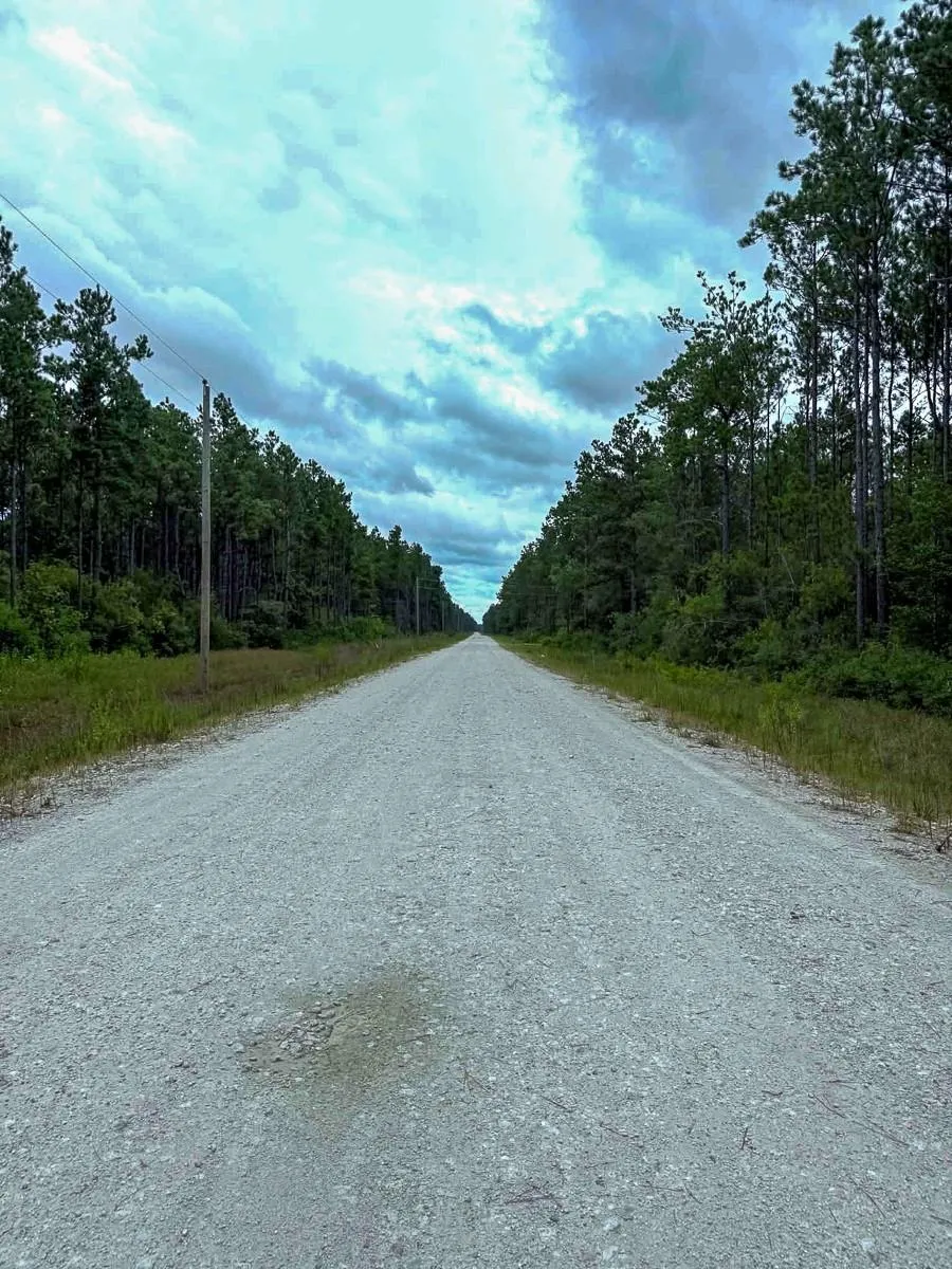 Carter Ranch Road Kountze, TX 77625