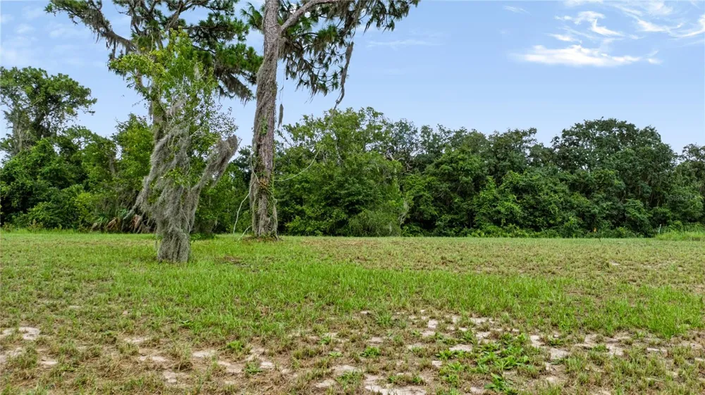 TROTTING HORSE LANE Tavares, FL 32778